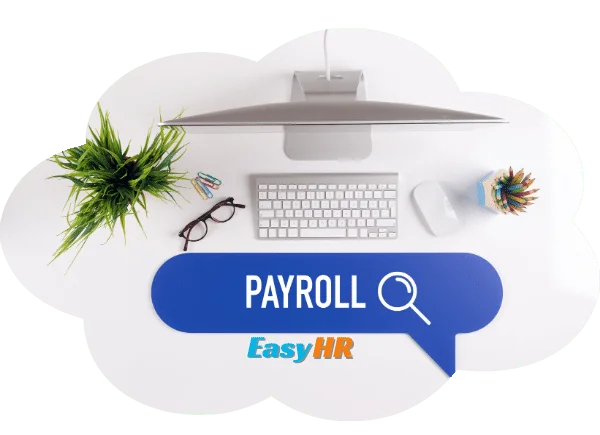 best payroll software uae