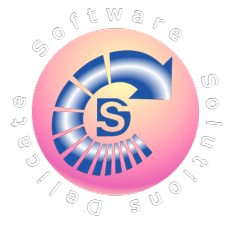 Delicate Software Solutions Logo